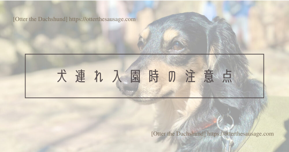 Blog Header image_犬と旅行_犬連れ旅行_熱海梅園_Atami plum garden_犬連れ入園時の注意点